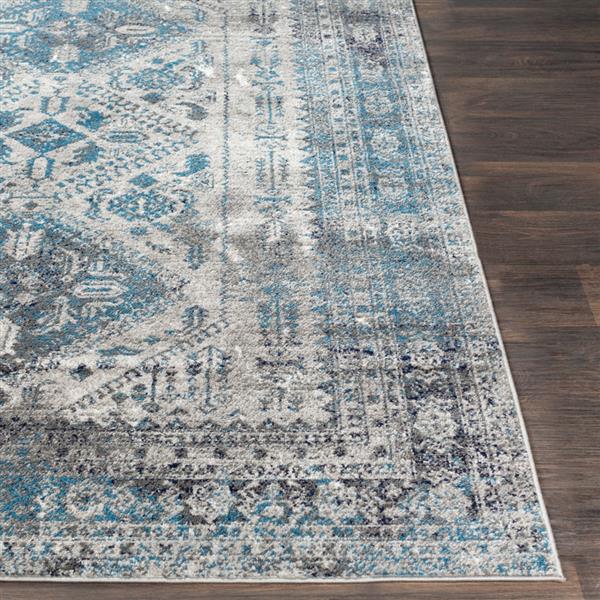Surya Monte Carlo Updated Traditional Area Rug - 6-ft 7-in x 9-ft - Rectangular - Blue/Gray