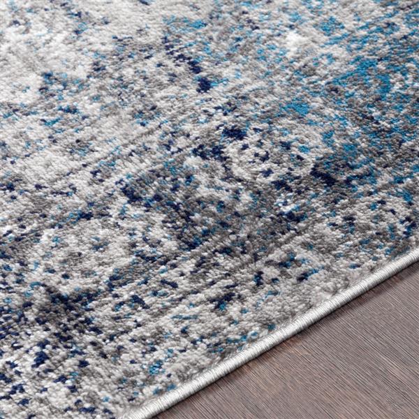 Surya Monte Carlo Updated Traditional Area Rug - 6-ft 7-in x 9-ft - Rectangular - Blue/Gray