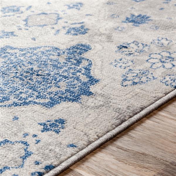 Surya Monaco Transitional Area Rug 7ft 10in x 10ft 3in