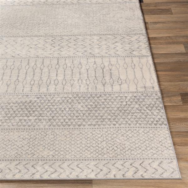 Surya Monaco Modern Area Rug 7ft 10in x 10ft 3in Rectangular