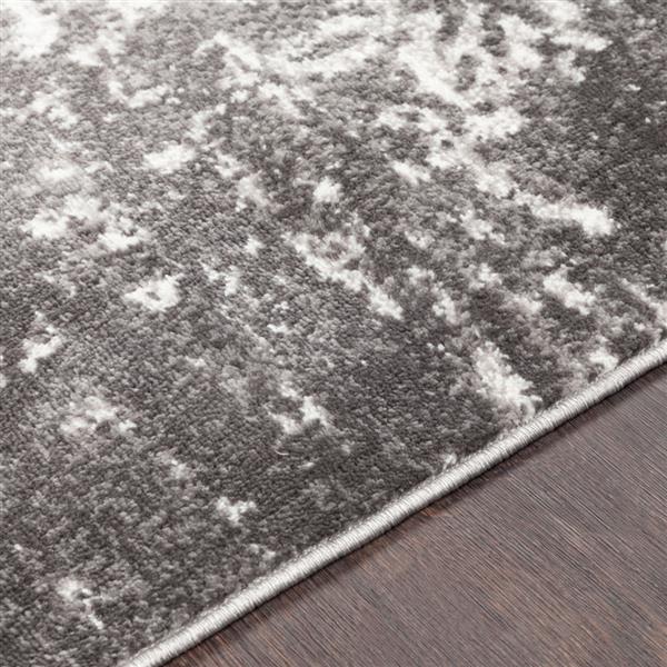 Surya Monte Carlo Transitional Area Rug - 9-ft 3-in x 12-ft - Rectangular - Charcoal/White
