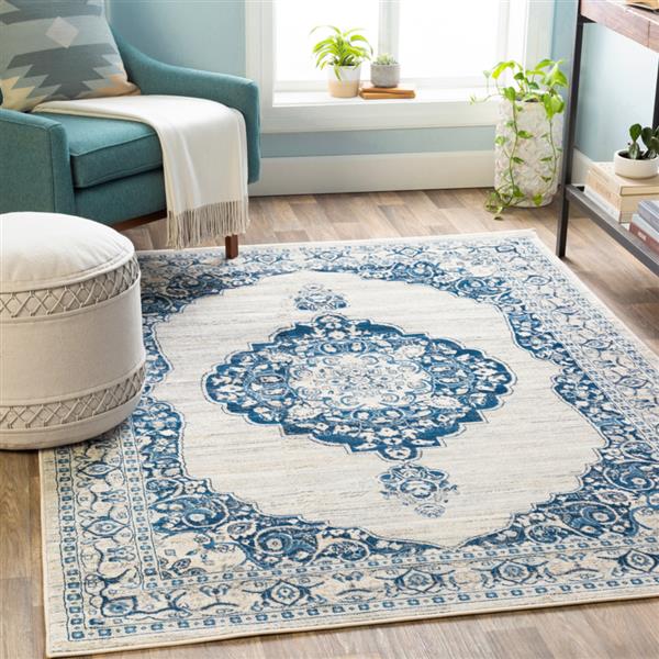 Surya Monaco Updated Traditional Area Rug 6ft 7in x 9ft 6in