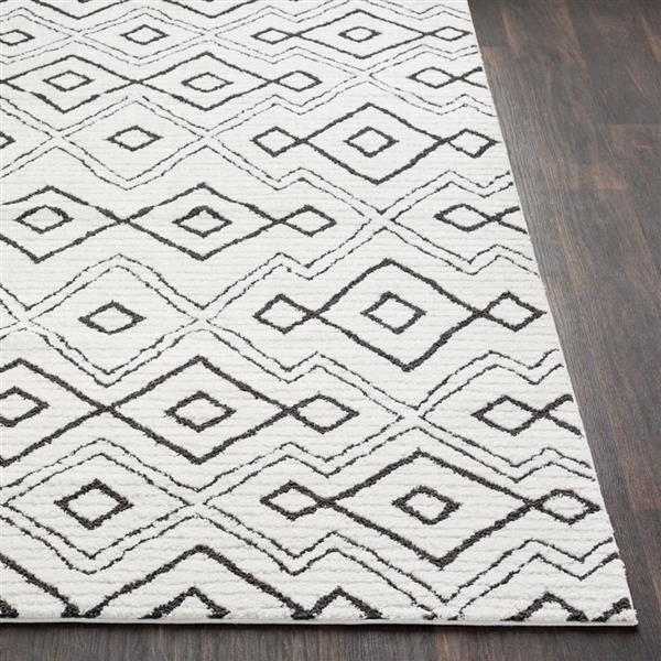 Surya Moroccan Shag Bohemian Area Rug - 6-ft 7-in x 9-ft 6-in - Rectangular - White