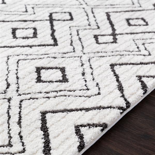 Surya Moroccan Shag Bohemian Area Rug - 6-ft 7-in x 9-ft 6-in - Rectangular - White