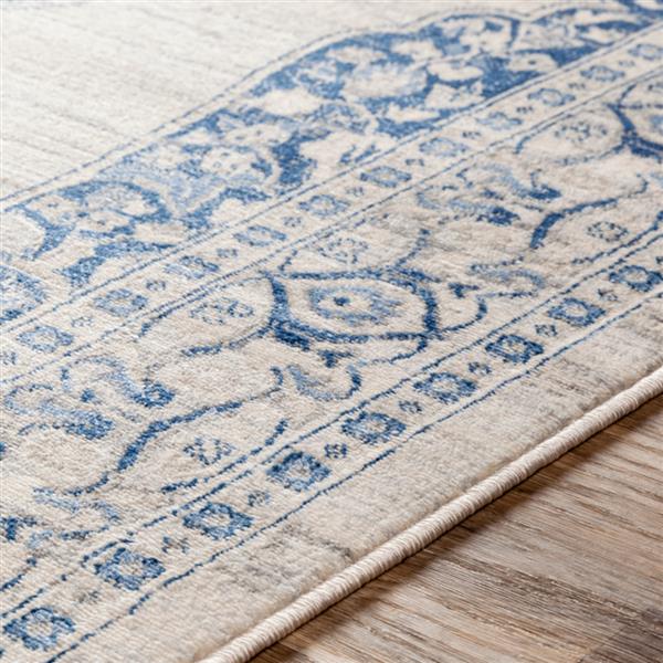 Surya Monaco Updated Traditional Area Rug 8ft 10in x 12ft 3in