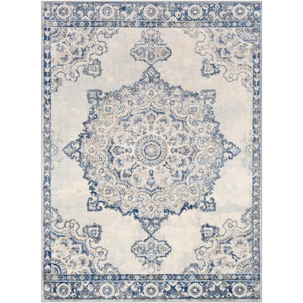 Surya Monaco Updated Traditional Area Rug 8ft 10in x 12ft 3in