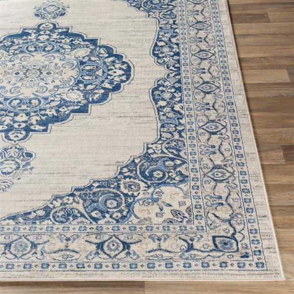 Surya Monaco Updated Traditional Area Rug 7ft 10in x 10ft 3in