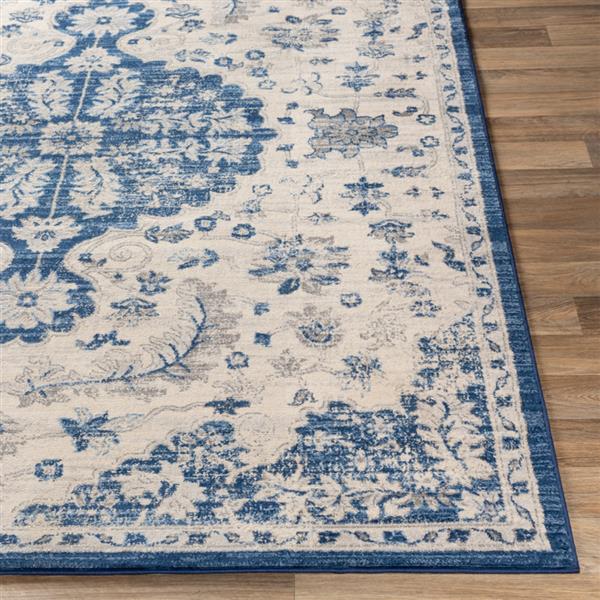 Surya Monaco Updated Traditional Area Rug 8ft 10in x 12ft 3in