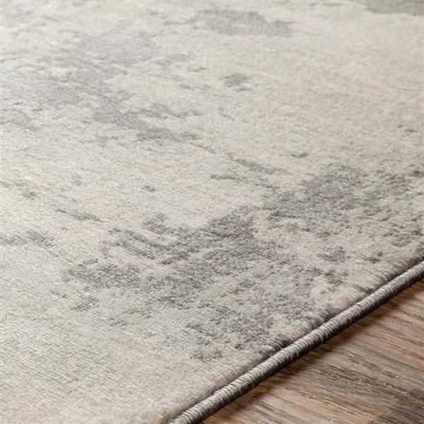 Surya Monaco Modern Area Rug - 8-ft 10-in x 12-ft 3-in - Rectangular - Silver
