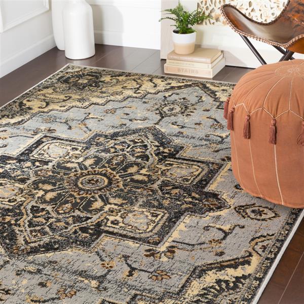 Surya Paramount Updated Traditional Area Rug 7ft 9in x 11ft 2in
