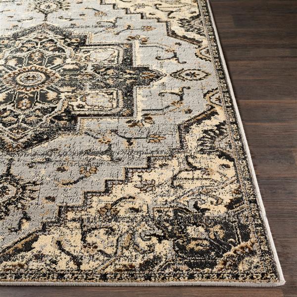 Surya Paramount Updated Traditional Area Rug 7ft 9in x 11ft 2in