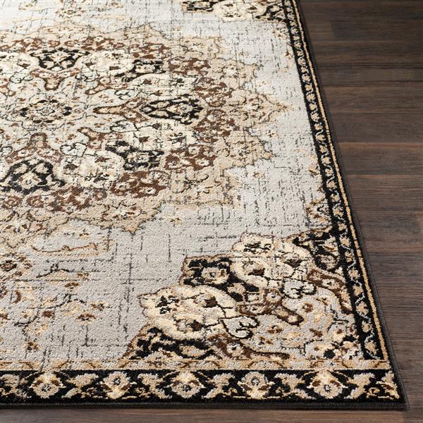 Surya Paramount Updated Traditional Area Rug 6ft 7in x 9ft 6in