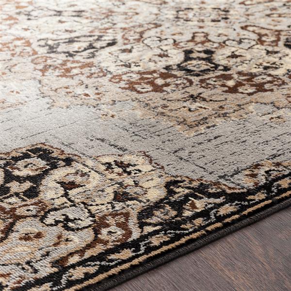 Surya Paramount Updated Traditional Area Rug 6ft 7in x 9ft 6in