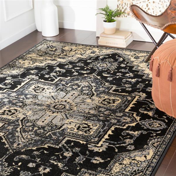 Surya Paramount Updated Traditional Area Rug 8ft 10in x 12ft 9in