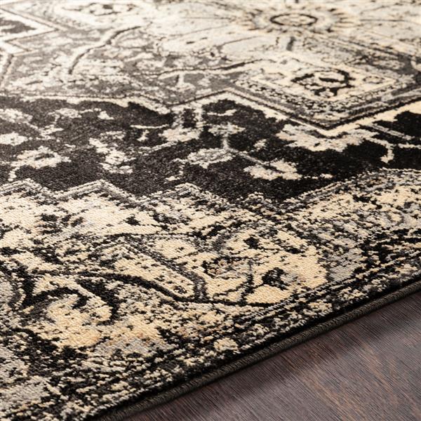 Surya Paramount Updated Traditional Area Rug 8ft 10in x 12ft 9in