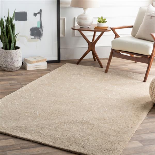 Surya Naya Modern Area Rug 8ft x 11ft Rectangular Khaki NY5275