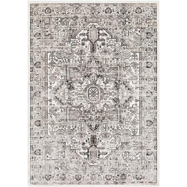 Surya Nova Updated Traditional Area Rug 7ft 8in x 10ft 6in