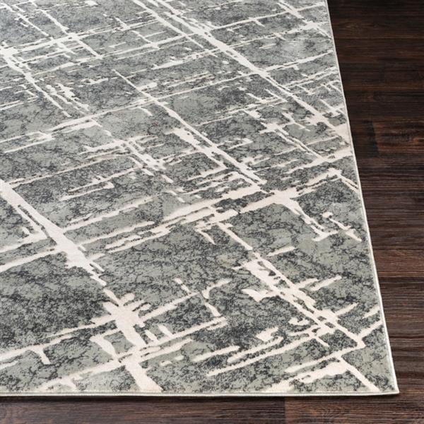 Surya Quatro Updated Traditional Area Rug 9ft 3in x 12ft 3in