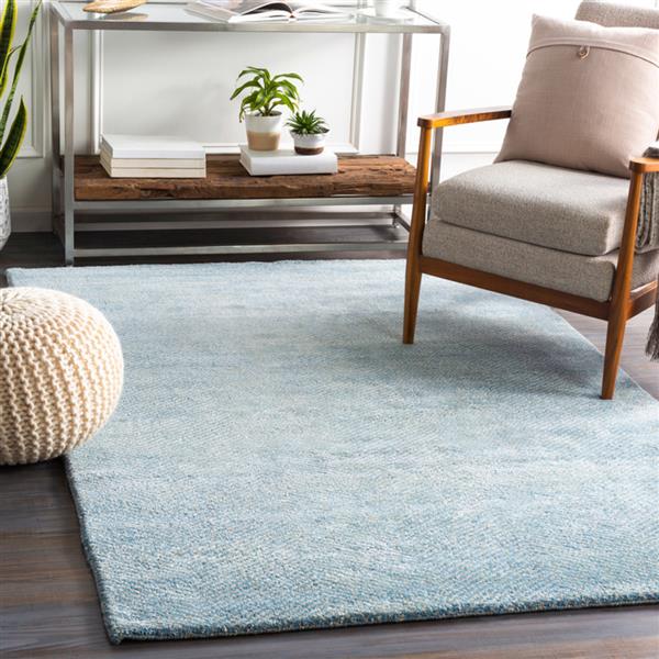 Surya Parma Solid Area Rug - 8-ft x 10-ft - Rectangular - Sky Blue