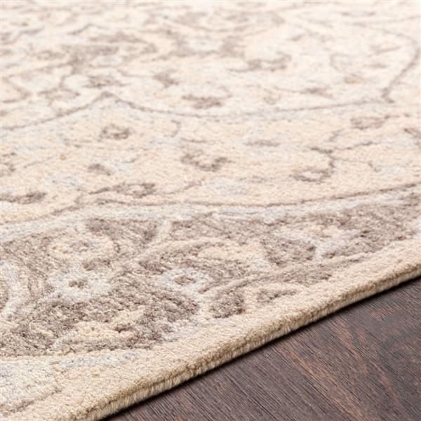 Surya Panipat Updated Traditional Area Rug 8ft x 10ft Rectangular