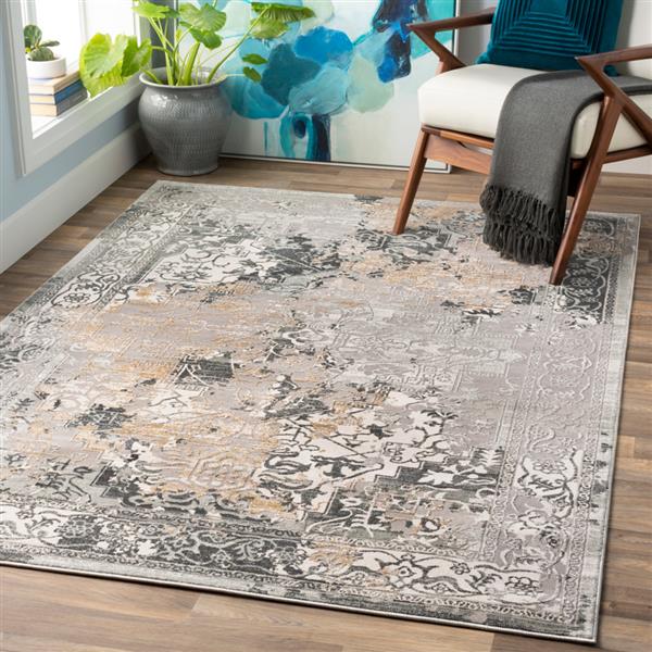 Surya Quatro Updated Traditional Area Rug - 9-ft 3-in x 12-ft 3-in - Rectangular - Gray