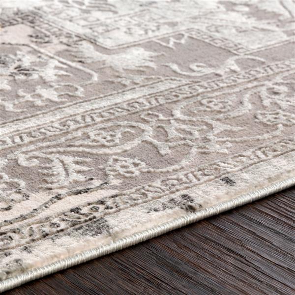 Surya Quatro Updated Traditional Area Rug - 9-ft 3-in x 12-ft 3-in - Rectangular - Gray