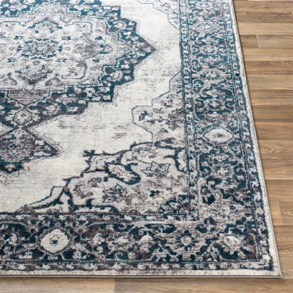 Surya Wanderlust Rectangular Traditional Area Rug - 7-ft 10-in x 10-ft 3-in - Aqua and Beige