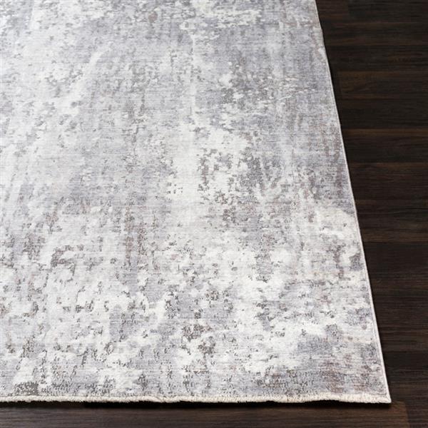 Surya Wonder Rectangular Transitional Area Rug - 7-ft 10-in x 10-ft 3-in - Tan