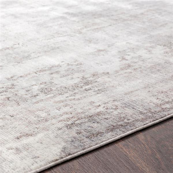 Surya Wonder Rectangular Transitional Area Rug - 7-ft 10-in x 10-ft 3-in - Tan