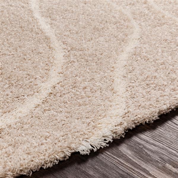 Surya Urban Shag Shag Area Rug 7 Ft 10 In X 10 Ft 3 In Rectangular Beige Usg2304 710103 Rona 