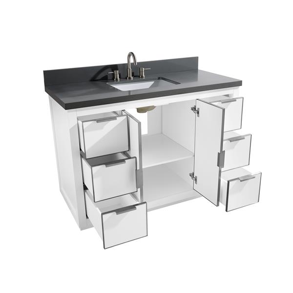 Avanity Austen Vanity - 49-in - Gray Quartz Top - White/Silver
