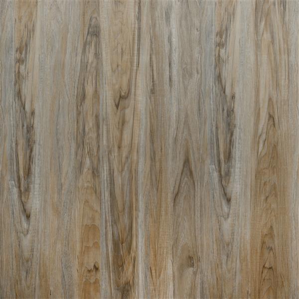 PROTIER Pozzuolli SPC Vinyl Plank - 7-in x 54-in - Brown