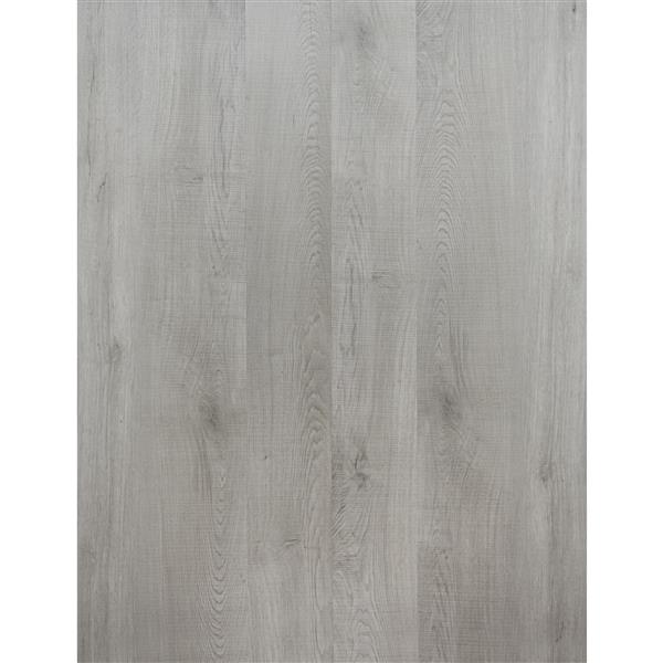 PROTIER Vasto SPC Vinyl Plank - 7-in x 54-in - Grey