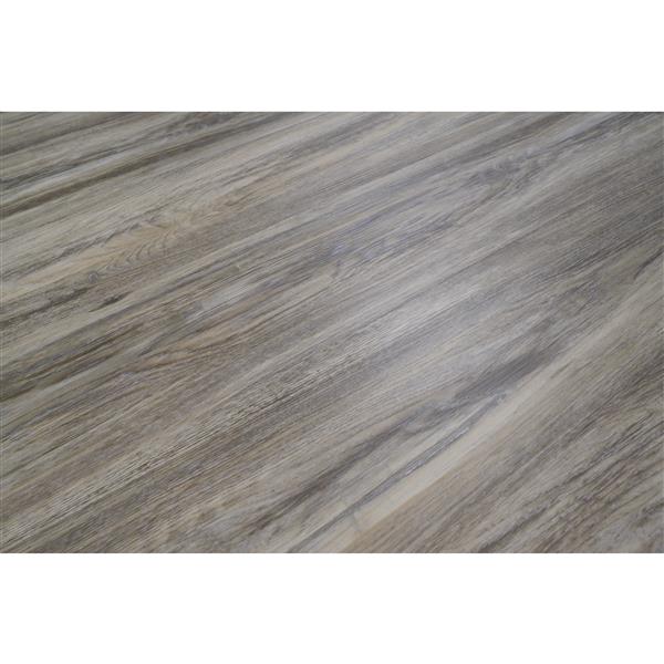 PROTIER Capua SPC Vinyl Plank - 7-in x 54-in - Brown