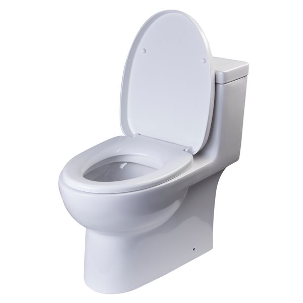 EAGO Elongated 1Piece Toilet Dual Flush Standard Height 15.75in White TB359 RONA