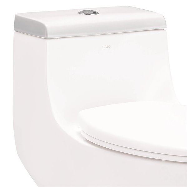 replacing-toilet-tank-cover-dismantle-the-toilet
