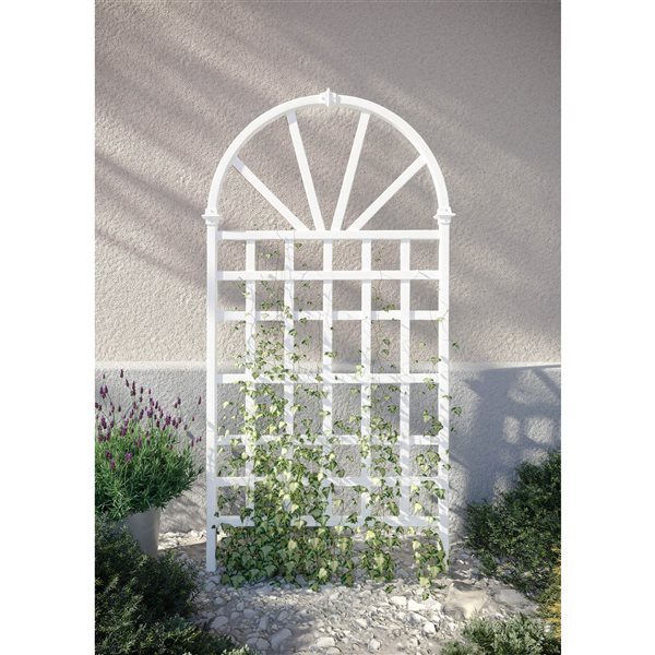 Vita Athens Decorative Lattice - White - 3.25-ft x 6.4-ft