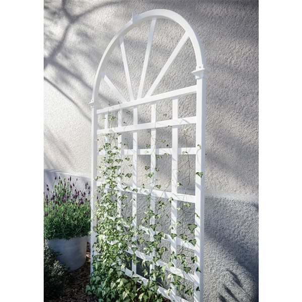 Vita Athens Decorative Lattice - White - 3.25-ft x 6.4-ft
