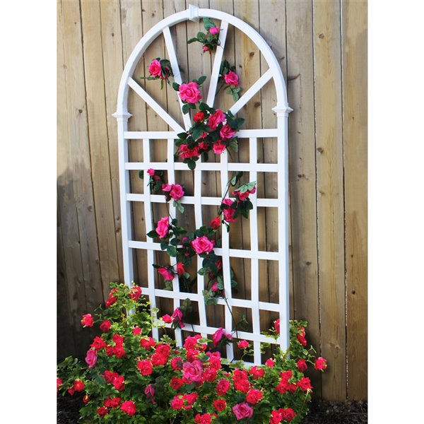 Vita Athens Decorative Lattice - White - 3.25-ft x 6.4-ft