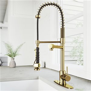 VIGO Zurich Pull-Down Spray Kitchen Faucet and Deck Plate - Matte Brushed Gold