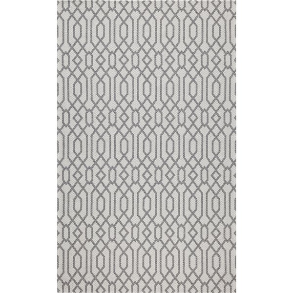 Safavieh Augustine Area Rug - 7-ft 7-in x 10-ft - Rectangular - Anthracite/Light Gray