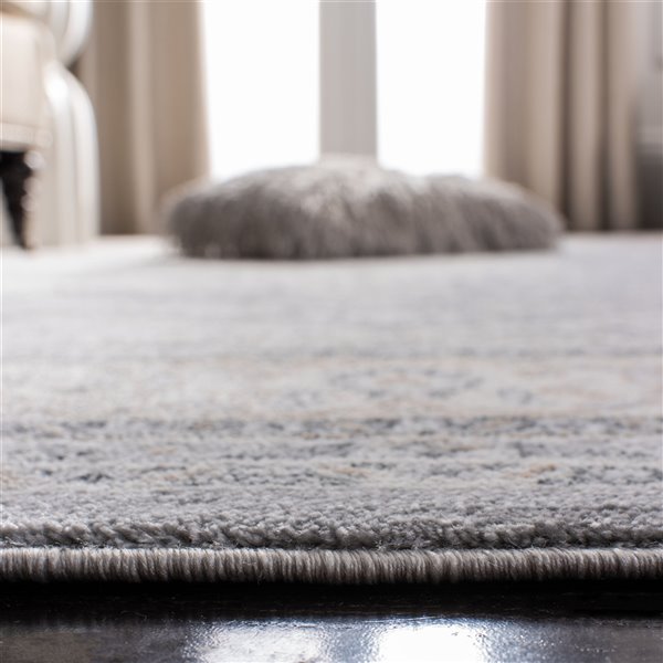 Safavieh Isabella Area Rug - 3-ft x 5-ft - Rectangular - Gray/Cream