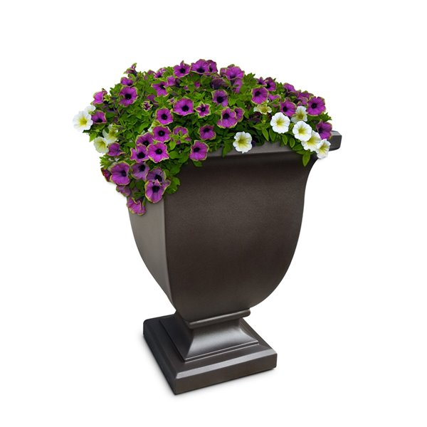 Mayne Augusta Square  Planter - 26-in - Espresso