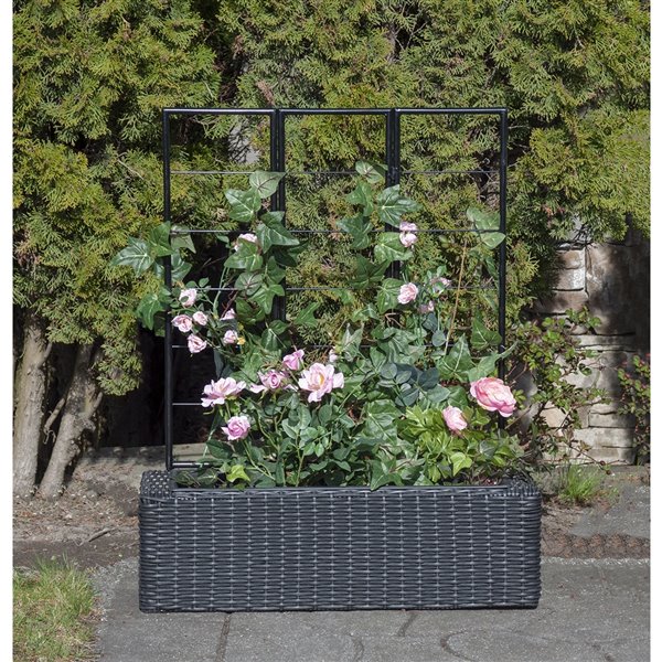 Grapevine Resin wicker planter with trellis- Matte Black