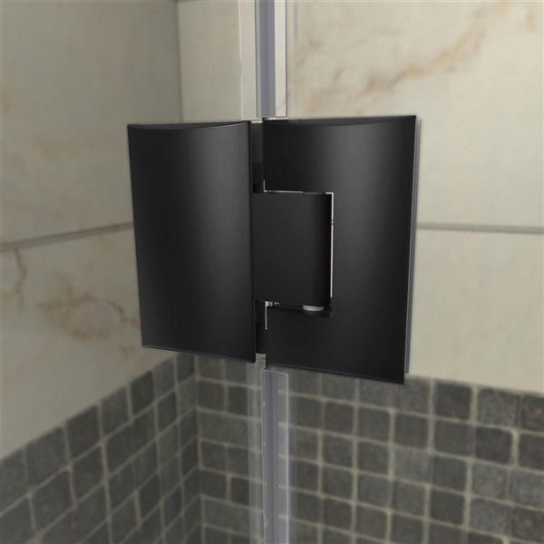 DreamLine Frameless Shower Enclosure Kit - 42-in - Black