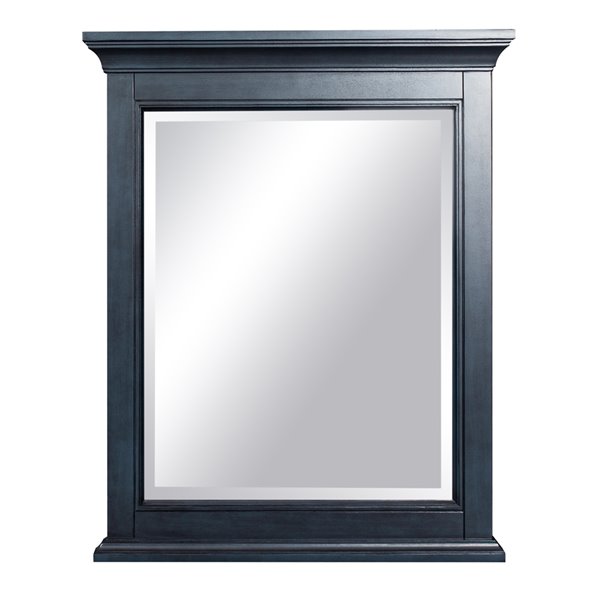 allen + roth 26-in W x 32-in H Silver Framed Wall Mirror in the