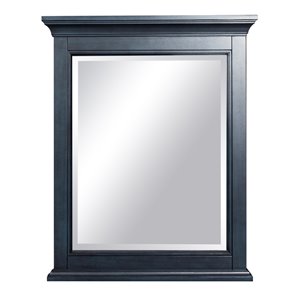 Miroir Brantley de Foremost, 32 po x 26 po, bleu