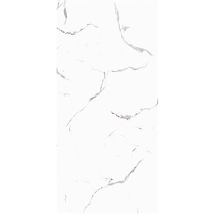 Surface Design Wall Decor Panel - White Marble - 4 ft x 8 ft