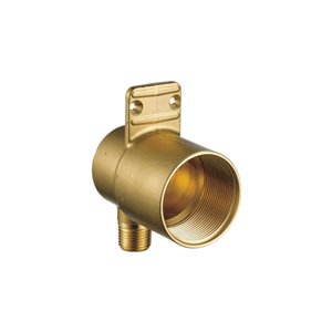 DELTA HydraChoice Wall Mount Valve