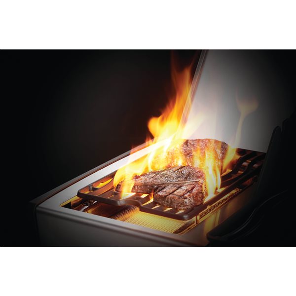 napoleon grill rogue se 625
